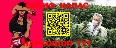 ECSTASY Кингисепп