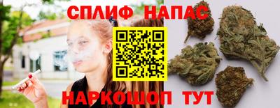 гидра Кинель