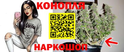ECSTASY Кингисепп
