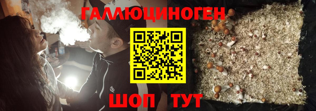 Галлюциногенные грибы прущие грибы Железноводск